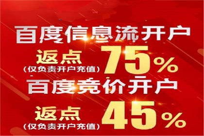 电商行业SEM运营的挑战与成功案例